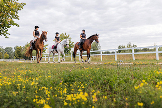 Wanderritt Deutschland