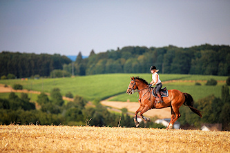 Reiten in Deutschland