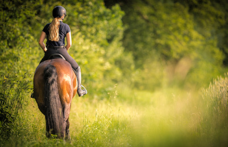 Reiten am See Deutschland