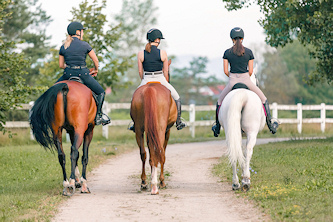 Westernreiten in Sachsen