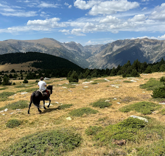 Reiterferien Frankreich