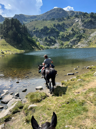 Im Galopp ueber das Hochplateau