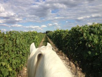 Reiturlaub Frankreich