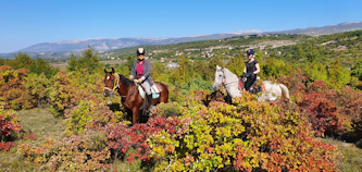 Freizeitreiten in Kroatien