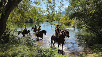 Im Galopp durch Dalmatien