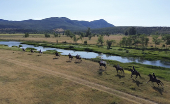 Reiterurlaub Kroatien