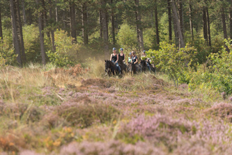 Strandritte Terschelling Niederlande