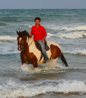 Pferde verstehen geheimtipp südwestküste