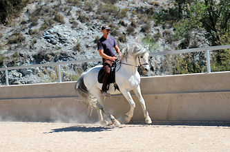 Workshop Sanftes Reiten Andalusien