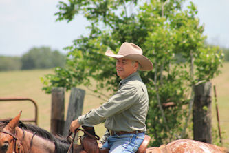 Pferde verstehen geheimtipp südwestküste