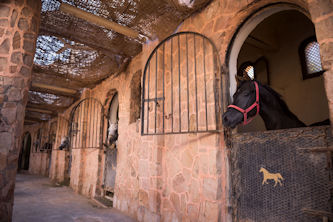 Reiterurlaub Ägypten