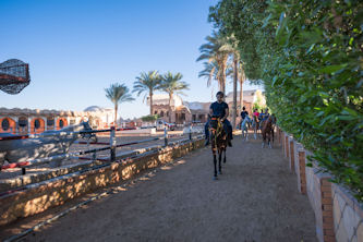 Reiterreise Ägypten