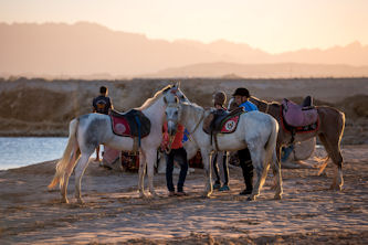 Reiterreise Ägypten