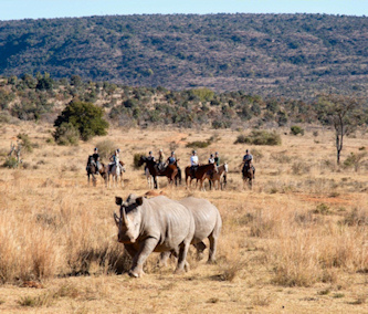 Reiten in Afrika - W&auml;chter der Wildnis - Trail