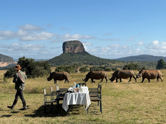 Pferdeurlaub S&uuml;dafrika