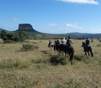 G�stemeinung Safari