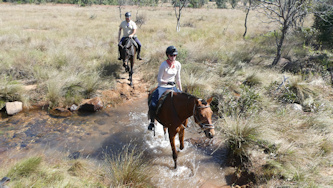 Gro&szlig;wild S&uuml;dafrika