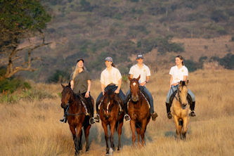 Pferdeurlaub S&uuml;dafrika
