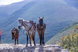 Albanien Klosterbesuch