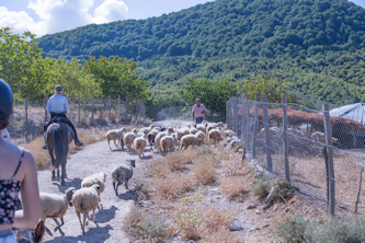 Reiterreisen Albanien