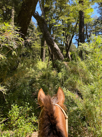 Reiten &uuml;ber die Anden