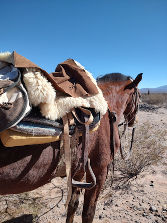 Reiterreise Argentinien