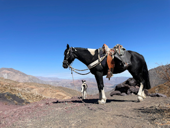Reiten über die Anden