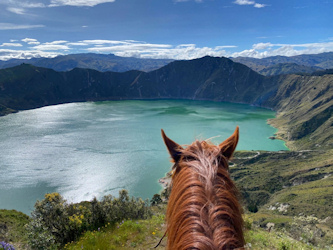 Reiterferien in Ecuador