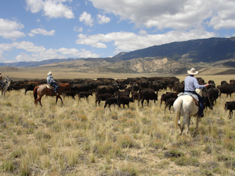 Ranchurlaub und Reiten in Montana