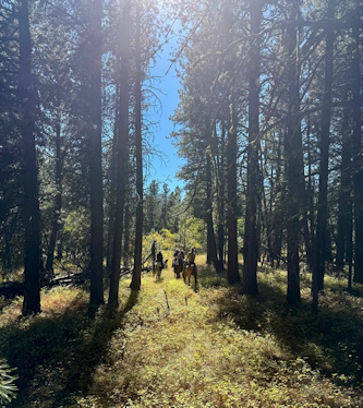 Reiterferien Montana