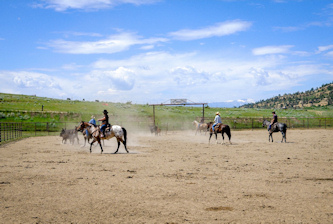 Reiterferien Montana