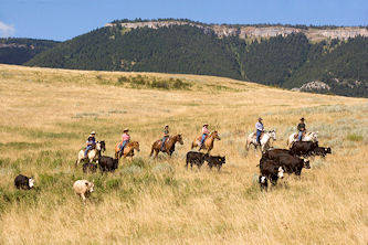 Reiten in den USA