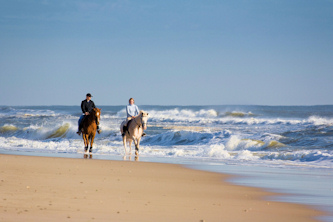 Reiten in Oregon