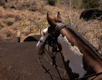 Reiten in Costa Rica