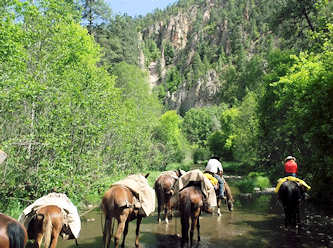 Reiten in New Mexico