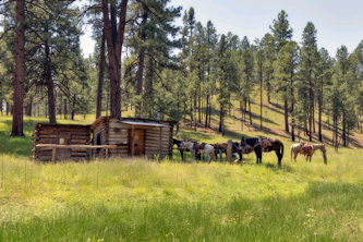 Reiturlaub USA