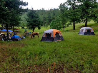 Reitferien New Mexiko