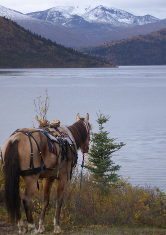 Wanderritt Yukon