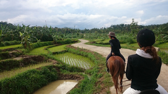 Reiten auf Java in Indonesien