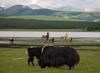 Endlose Weiten in der Mongolei