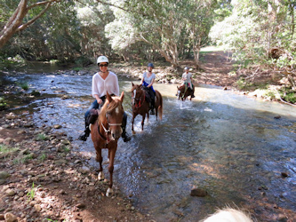 Reiterreisen Australien