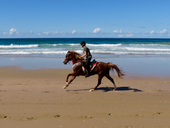 Australien Strandgalopp