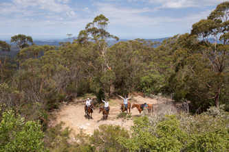 Reiterferien</td>
				          </tr>
				        </table>
					      <table width=