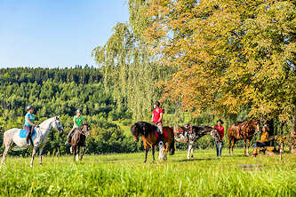Westernreiten &Ouml;sterreich