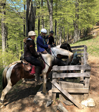 Pferdeurlaub Bosnien