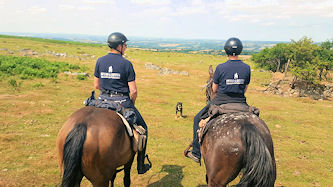 Reiten in Dartmoor