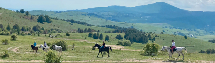 Reiten in Bulgarien