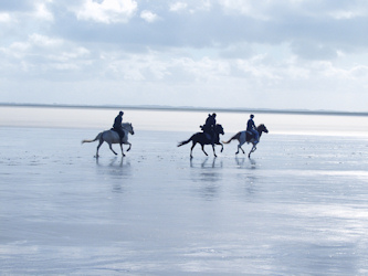 Mit Islandpferden auf Roemoe