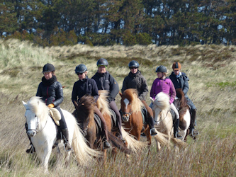 Endlose Sandstraende