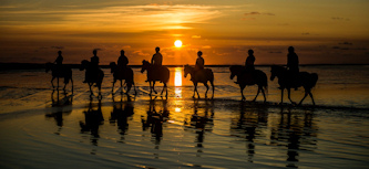 Auf Islandpferden auf Roemoe